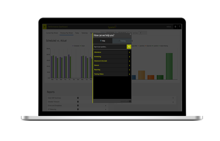 Synerion Digital Assistant
