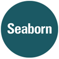 Seaborn Networks Design Services