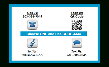 Voice, Web and SMS